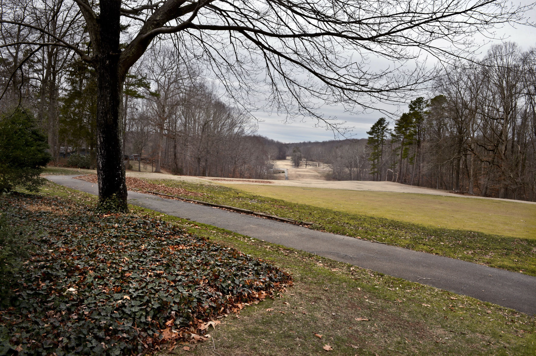 20170108w_nws_golf